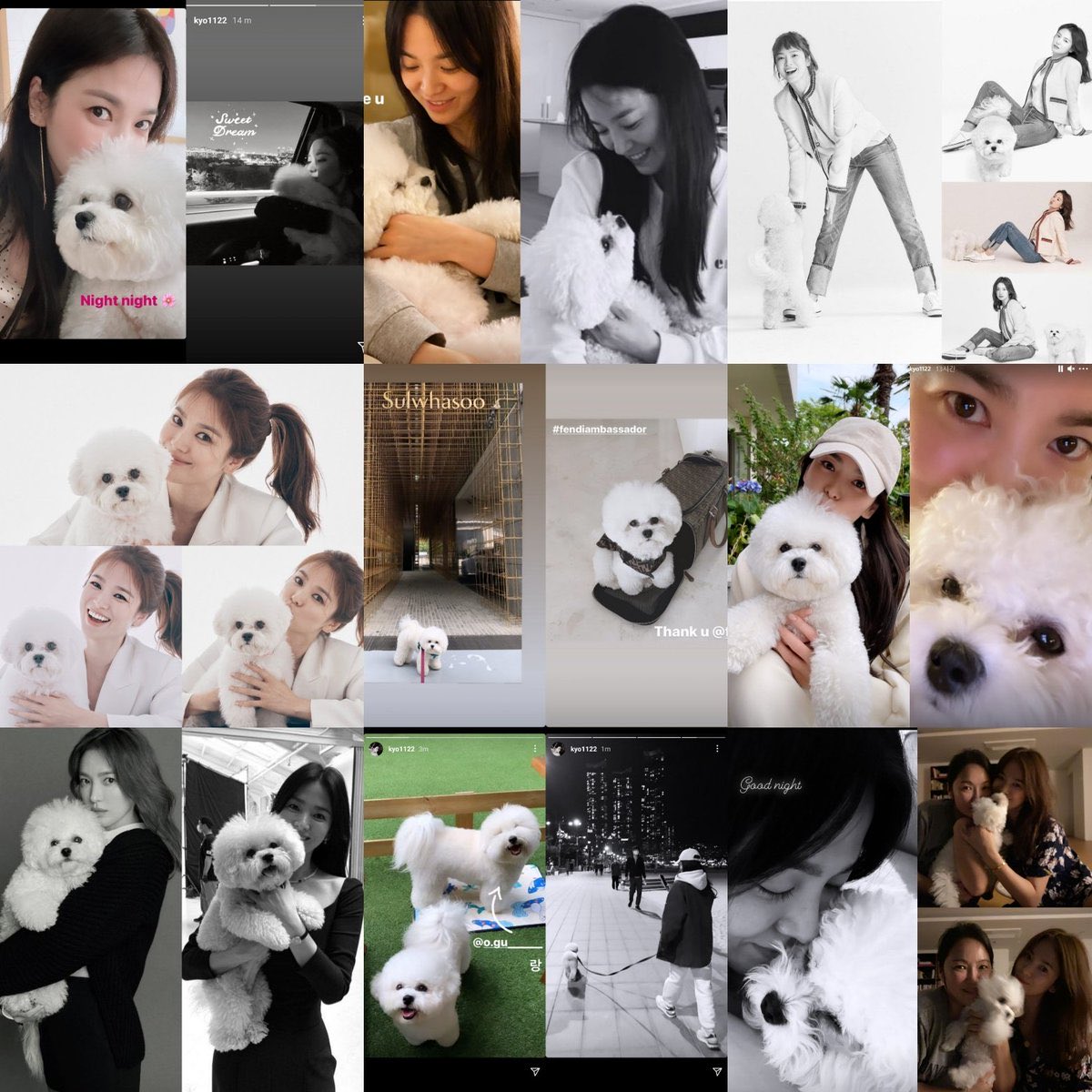 flowerash's tweet photo. Happy Birthday our little princess Ruby ππΆπ₯³π Thank you for your existence and for making your mommy Kyo happy π₯°
#SongHyeKyo
#Ruby
#KyoBy https://t.co/9C1exZKDxl