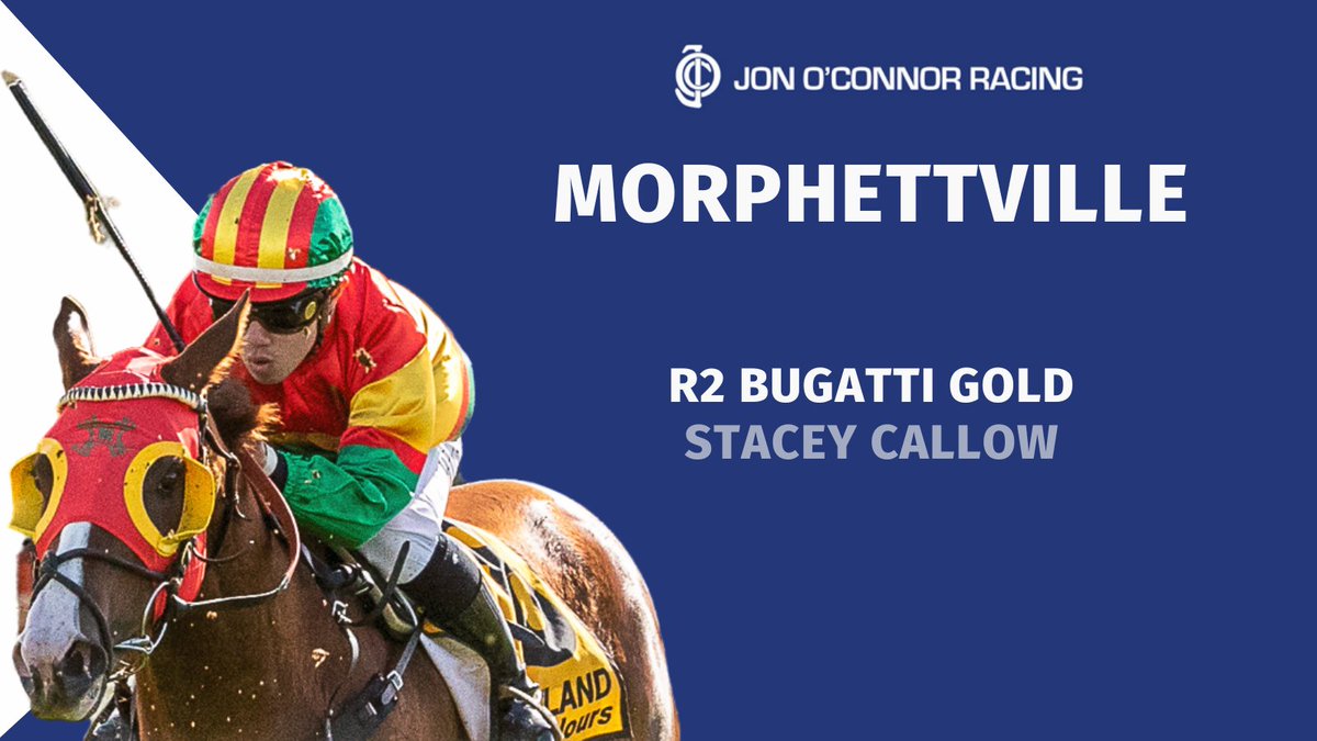 OConnorRacing1's tweet photo. 3yo BUGATTI GOLD will take on 7 other competitors in todays 3yo Metro Maiden at @SAJockeyClub 

The @CornerstoneStud  bred filly will race for prizemoney &amp; bonuses of $69,500 highlighting the opportunities connections in @RacingSA 
 
Join our team
https://t.co/89u3a1TXxv https://t.co/TjlCTrOohj