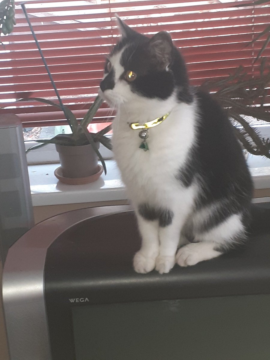 Jacqueline Winfield (@elegant1576) on Twitter photo 