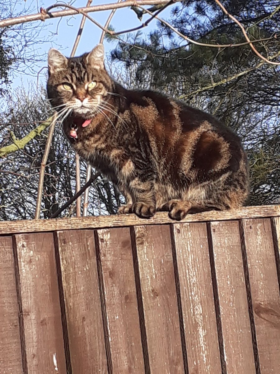 Jacqueline Winfield (@elegant1576) on Twitter photo 