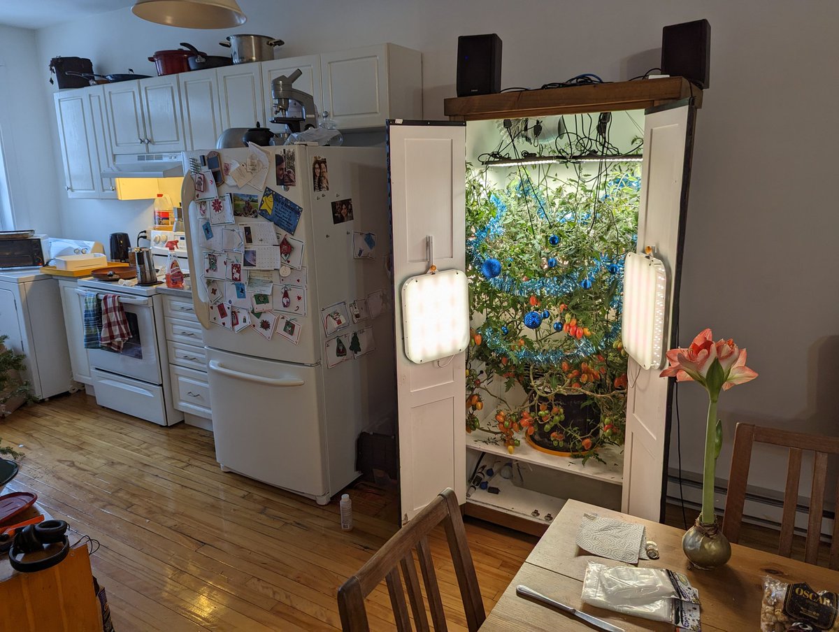 Merry Christmas from the Tomato Machine Company and from Marcello the tomato! 🌲🍅 

#MerryChristmas #TogetherAtChristmas #Christmas #holiday #holidayfun