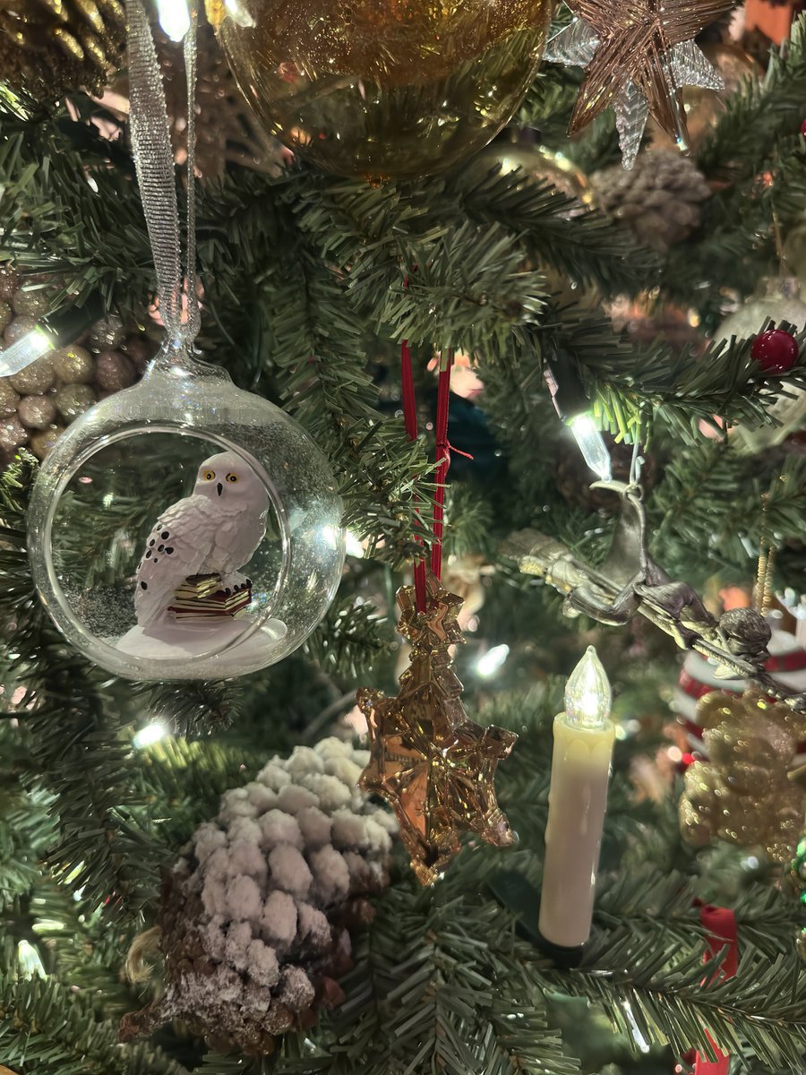 Khaled Ali Bin Ali tweet media