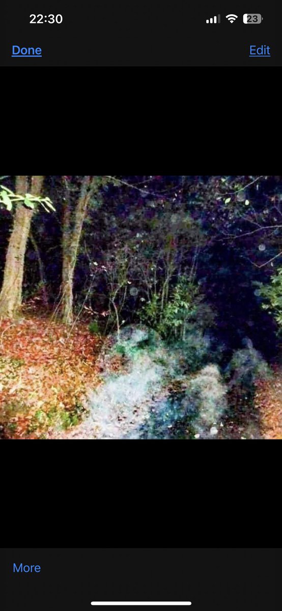 jimbobams's tweet photo. @Zak_Bagans come check out berry pomeroy castle in England it’s full of ghosts and entities https://t.co/Yv6N3DBnqy