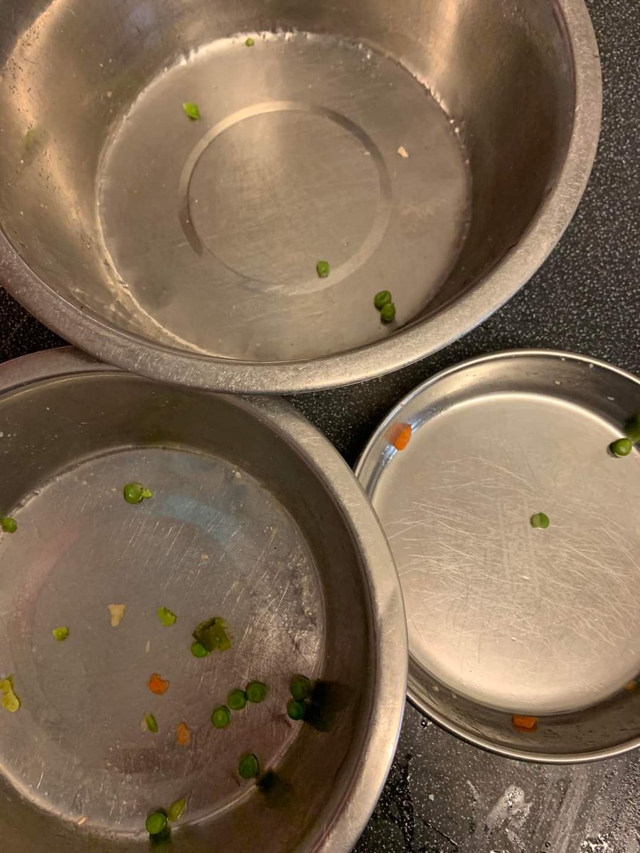 Every one of the rescue dogs &amp; boarding dogs at the kennels have enjoyed a roast chicken Christmas dinner! 
No sprouts involved 🤣🤣🤣 although there was a bit of a “pea’ protest from a few 🤣🤣🐕🐕🐕