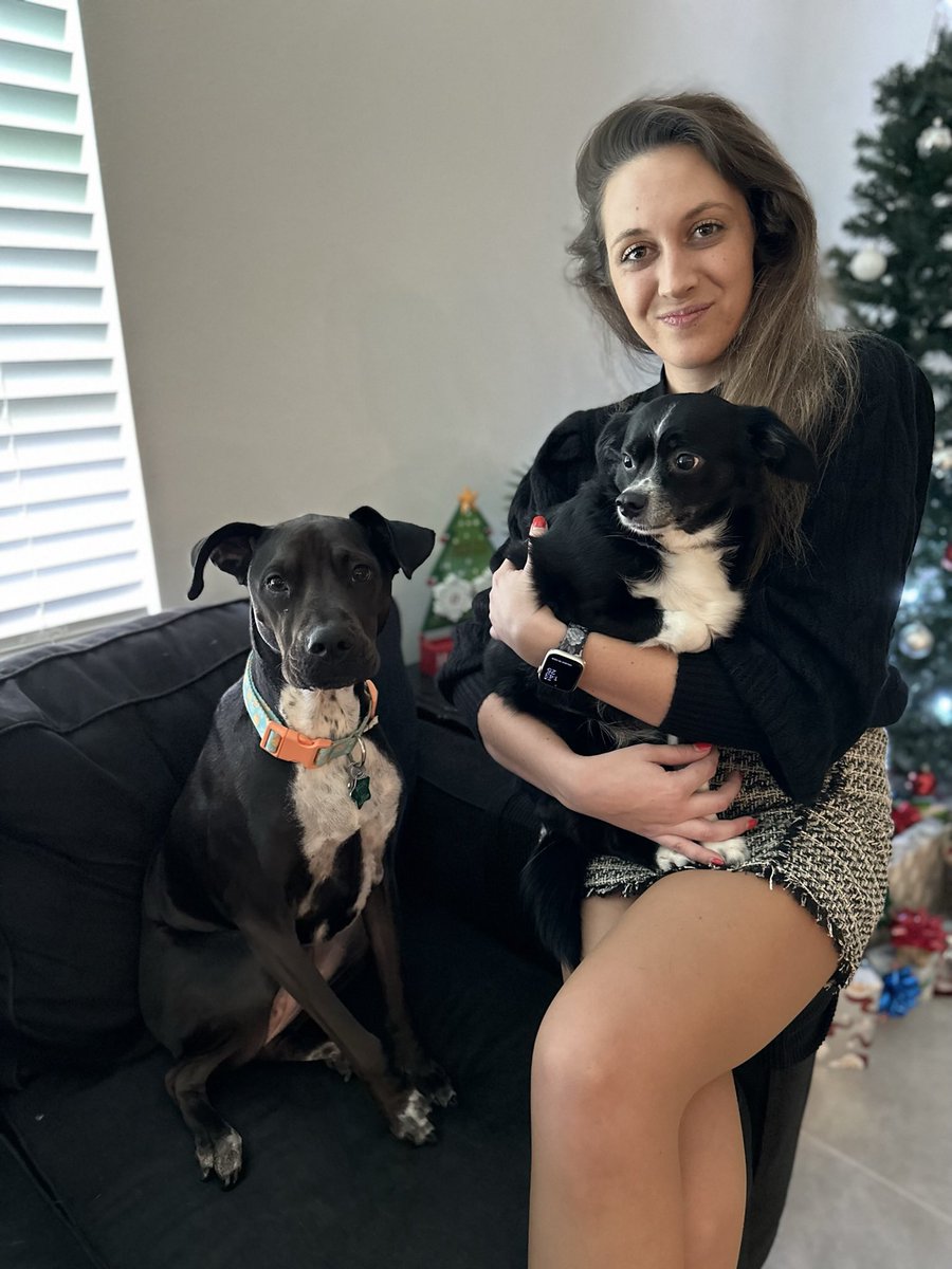 Noojoya's tweet photo. Merry Christmas 🎄❤️ https://t.co/vhBMDigupk
