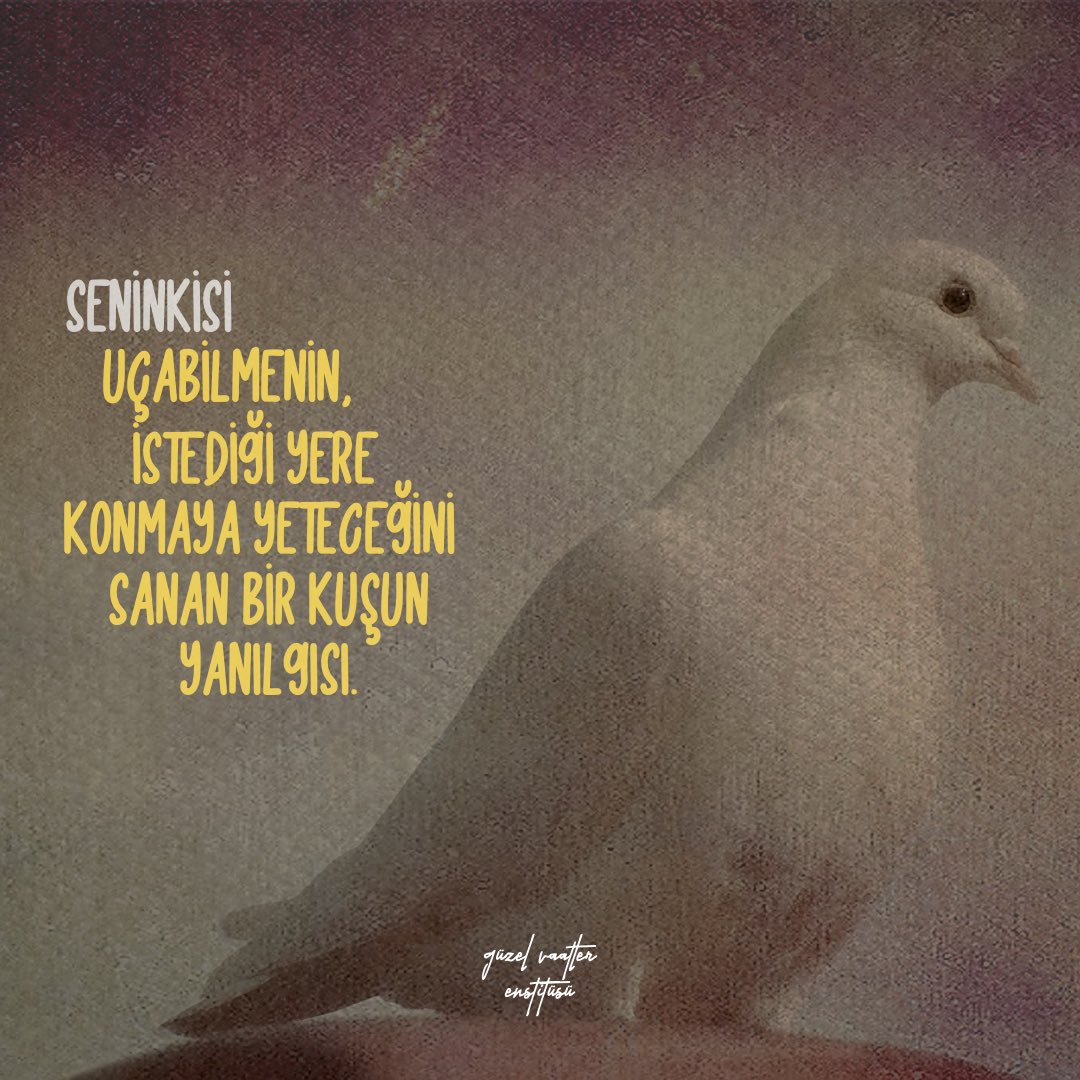 "seninkisi, uçabilmenin istediği yere konmaya yeteceğini sanan bir kuşun yanılgısı."