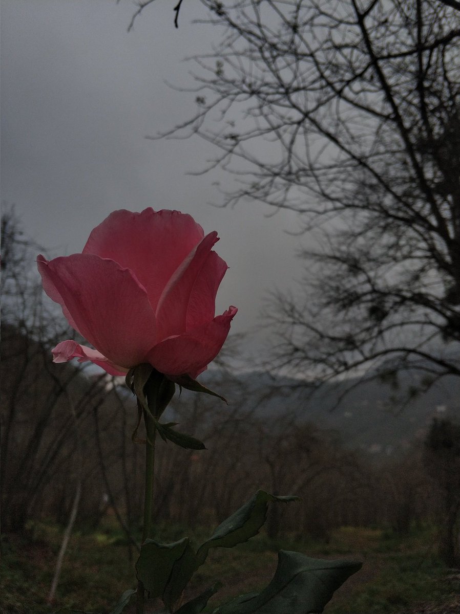 incebuz's tweet photo. "Anlam bir çok şeyi belki de her şeyi  dayanılır hale getirir."

Irvin D. Yalom https://t.co/32MMs7WHOs