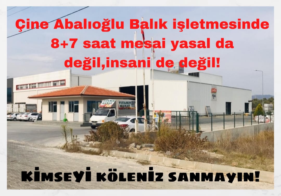 Çine Abalıoğlu Balık İşletmesinde dünkü 8-16 vardiyası gece 23.00'te bitmiş. Soğukta ve ayakta 96 kesici ile 31.000 kilo balık temizlemişler. Kişi başına yaklaşık 323 kilo balık düşmüş. Büyük çoğunluğu kadın olan, evde eşi çocukları bekleyen işçilere düpedüz işkence bu vardiya!
