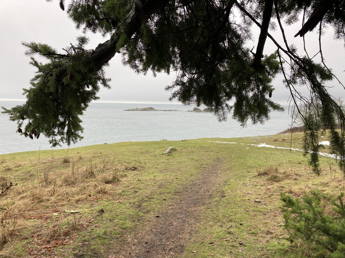 Jeremy Rayner tweet media