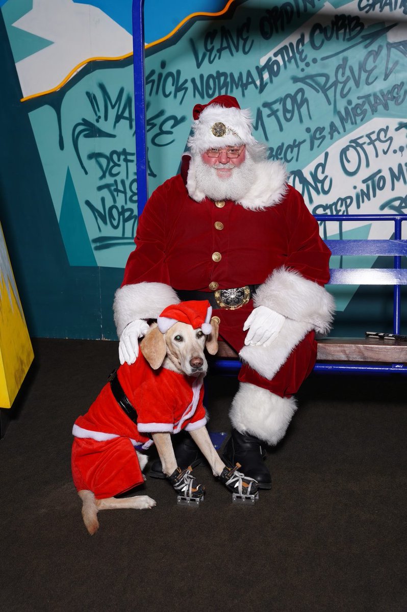 Merry Christmas!
#SantaPaws #Santa #dogsoftwitter #HappyHolidays
