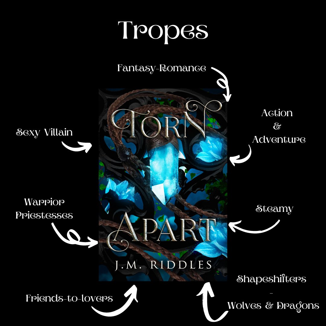 The 1st ebook of the fantasy romance Convergence series is on sale for only 99c until December 31st! Merry Christmas! #christmassale #fantasyromance #readingcommunity #Reading #readingforpleasure