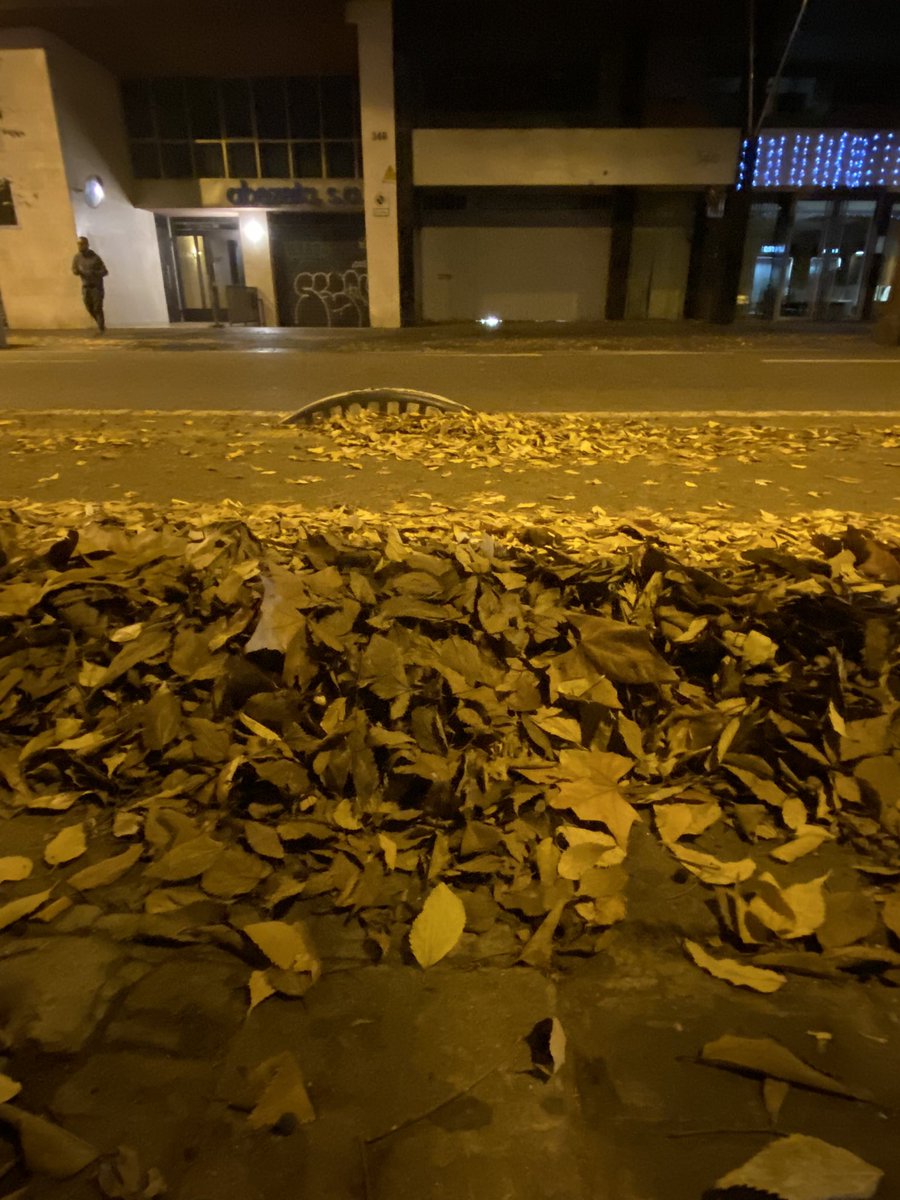 xplacesc's tweet photo. Senyors de l’@bcn_ajuntament, l’Eixample ara ja és un #scalextric. Està també previst convertir-se en un camí forestal…? Aixó és el c/València, entre Girona i Bailén. El carril bici aviat no es veurà. No és de fa pocs dies. https://t.co/8reskKWHfE