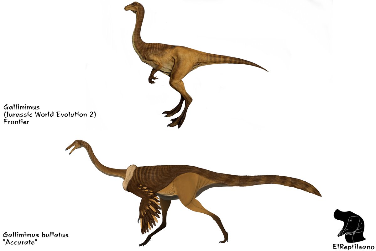 Gallimimus in its version 'Accurate' the gallimimus is one of my favorite dinos that appear in the movie, its retro design I like a lot and its sounds are very original and interesting, in the game I love to make a huge group of these specimens and see them run!!