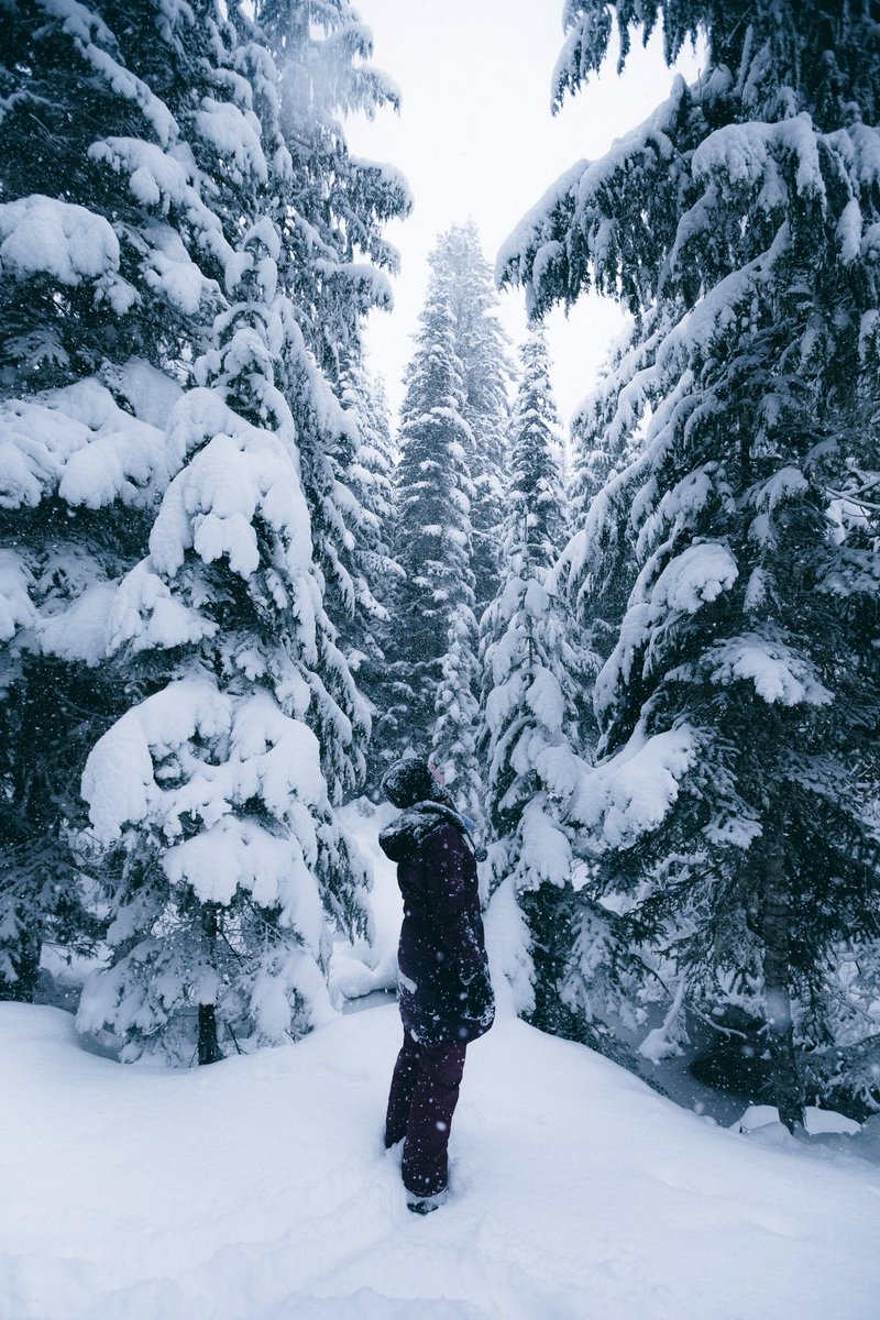 Above_Brandon's tweet photo. ❄️Merry Christmas❄️                                 #oregon | #PhotoMode https://t.co/x7g4ETZU4T