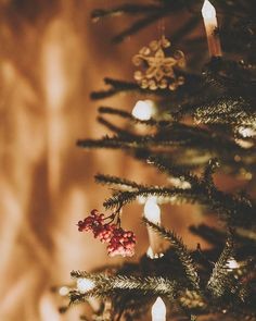 ServicePlusAuto's tweet image. MERRY CHRISTMAS &amp;amp; Happy Holiday’s, Calcium! Have a wonderful holiday!