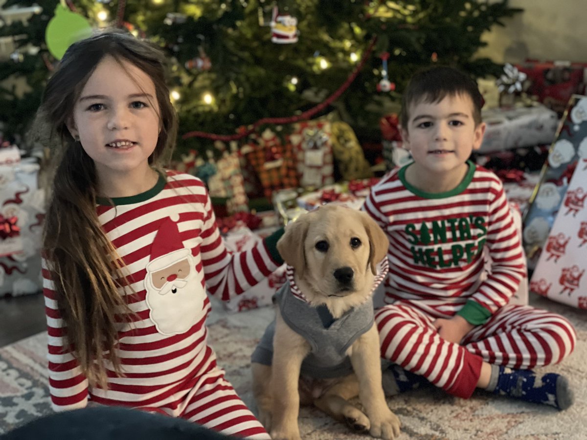 Merry Christmas! 🎄🎁 🎅🏽