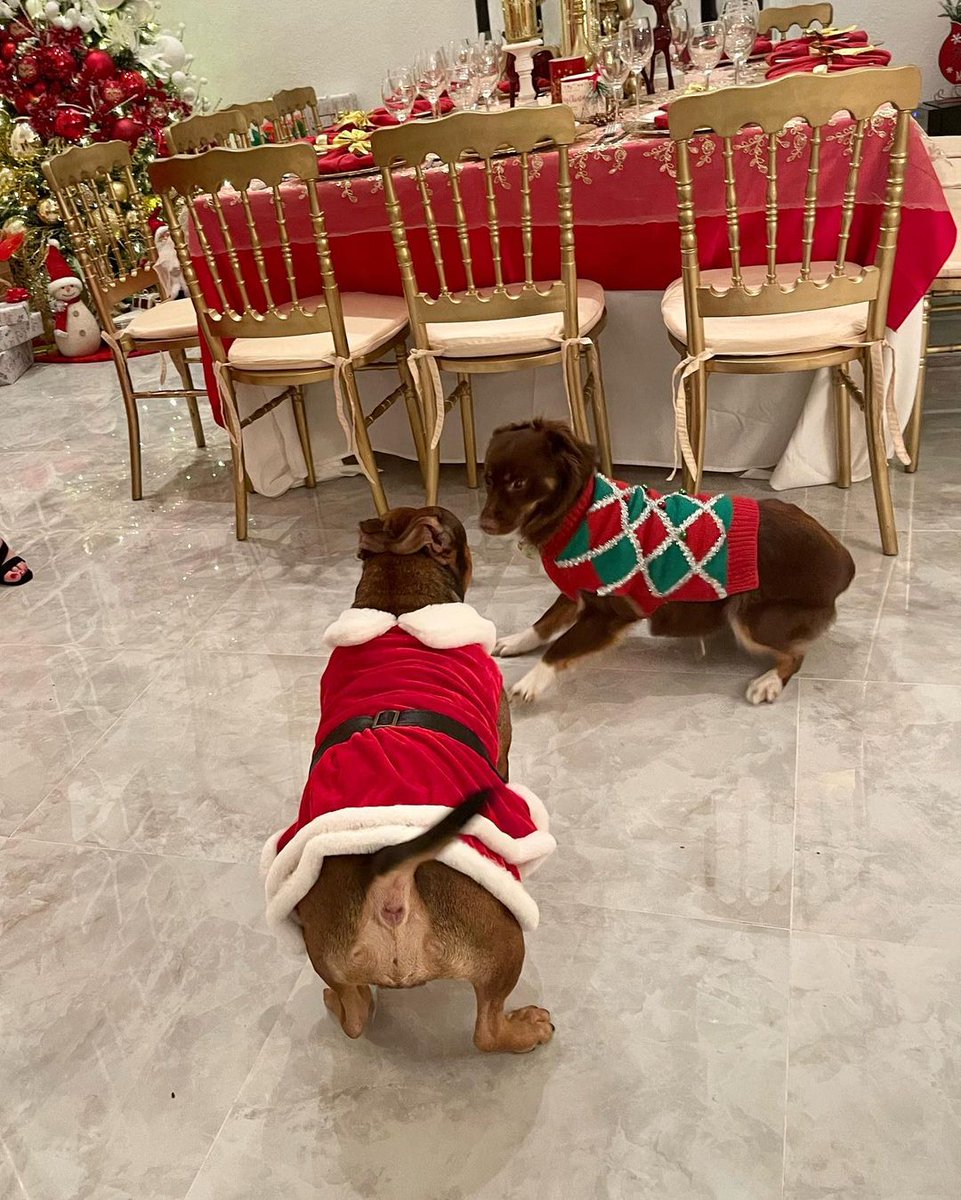 RandsonHb_bv's tweet photo. Merry christmas 🎁🎄 https://t.co/A0RjZvE1ay
