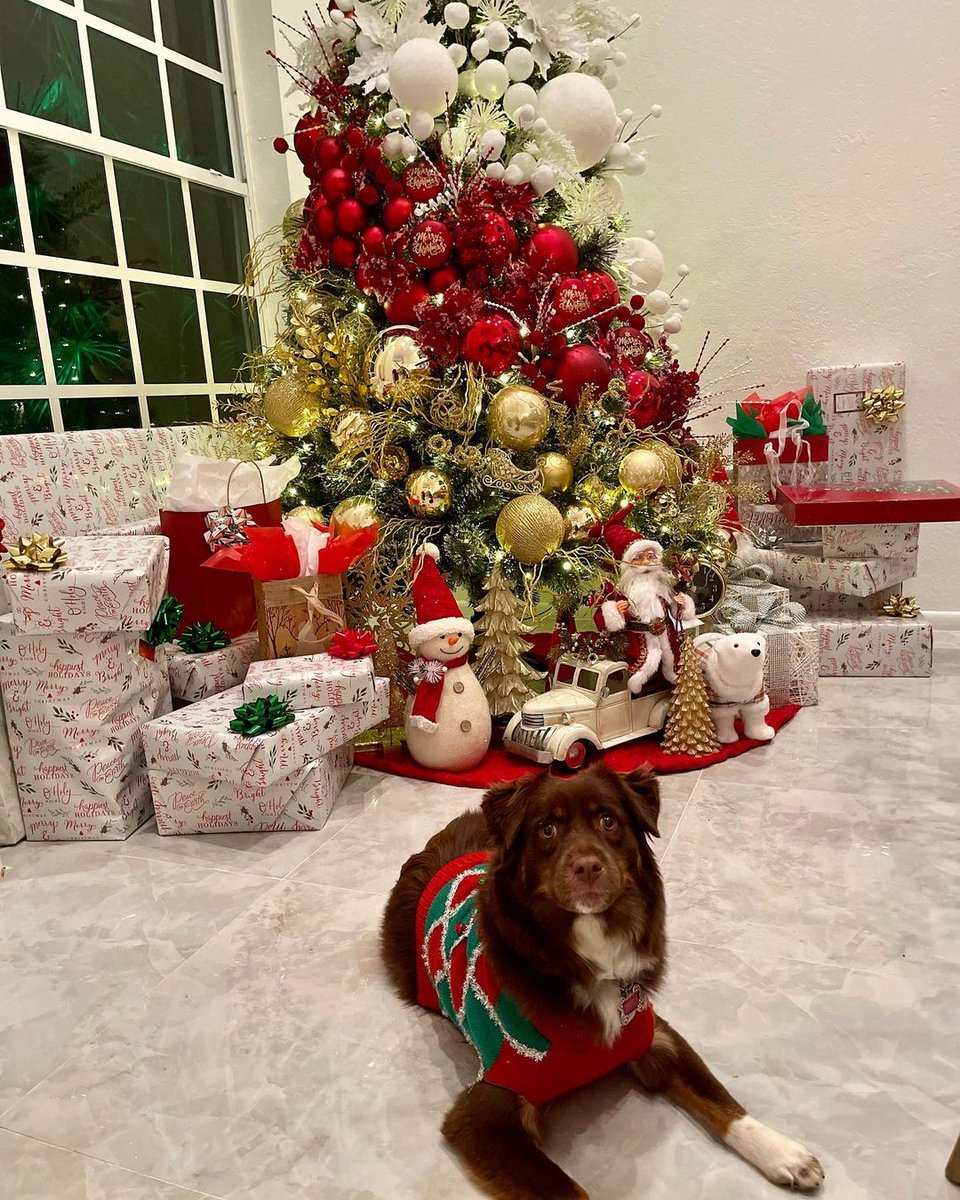 RandsonHb_bv's tweet photo. Merry christmas 🎁🎄 https://t.co/A0RjZvE1ay