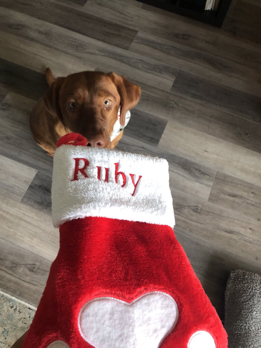 Rubydoobydog's tweet image. SANTA CAMED!!!
