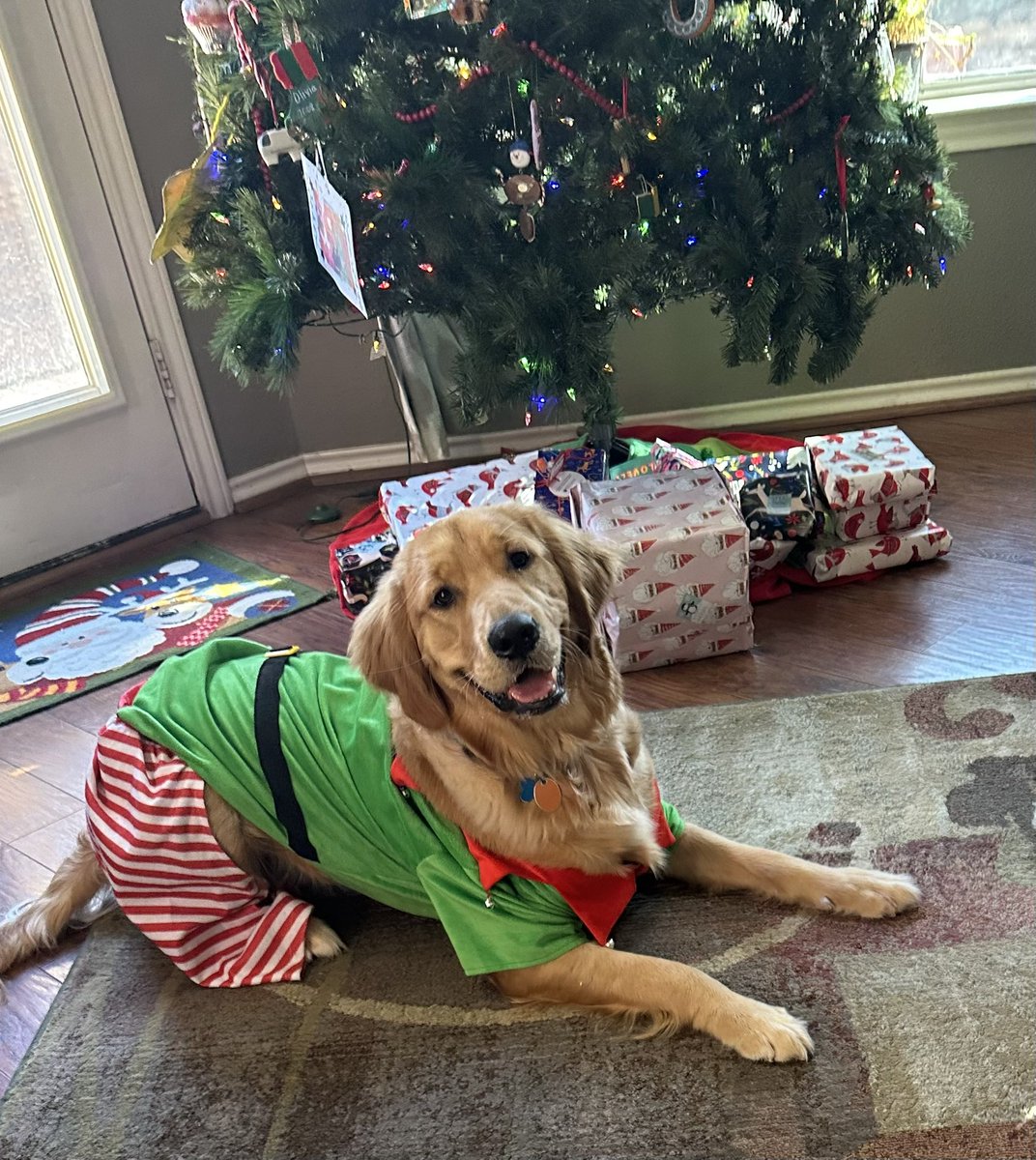 Merry Christmas, friends! I hope Santa was good to you!
