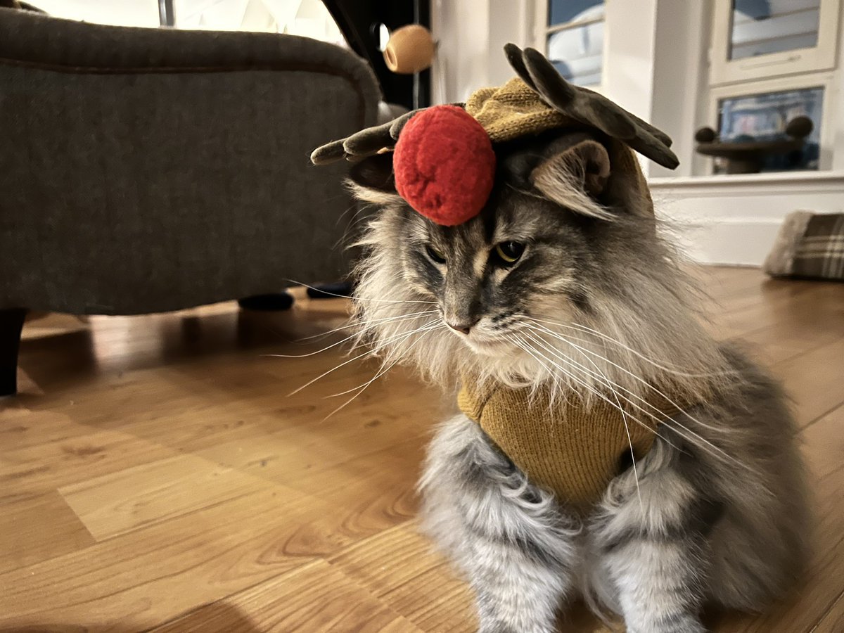 Marc Ellison tweet media