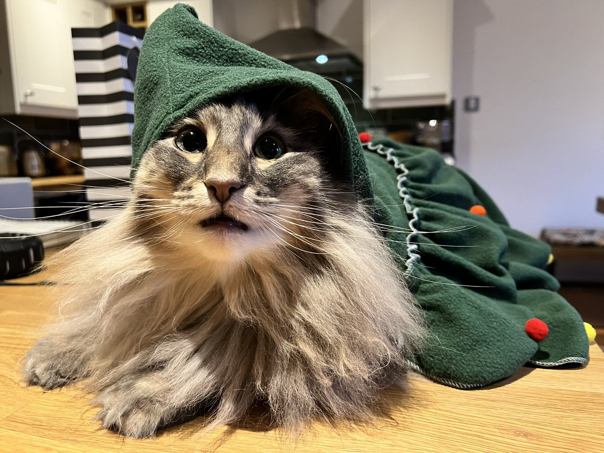 Marc Ellison tweet media