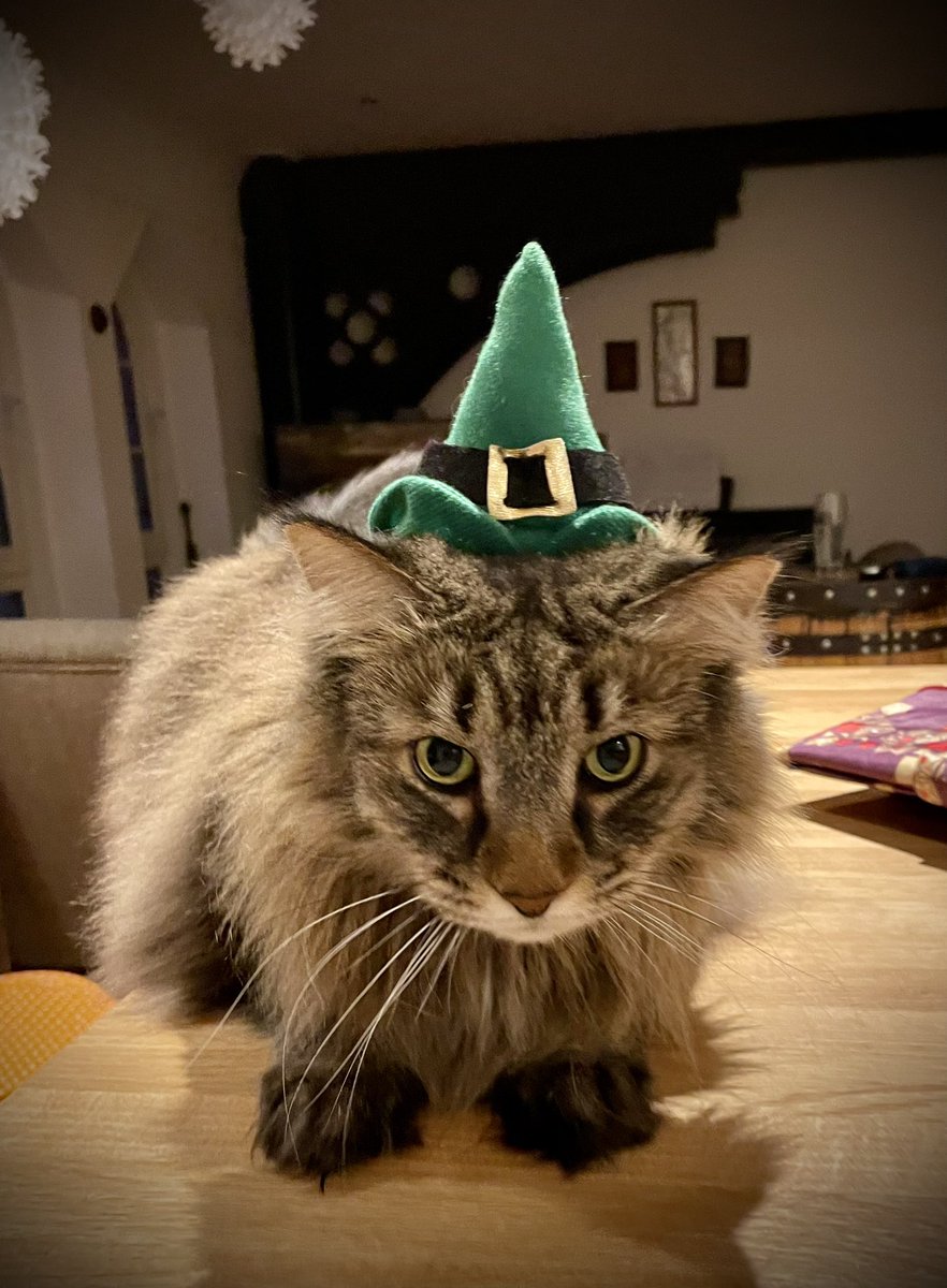 Marc Ellison tweet media