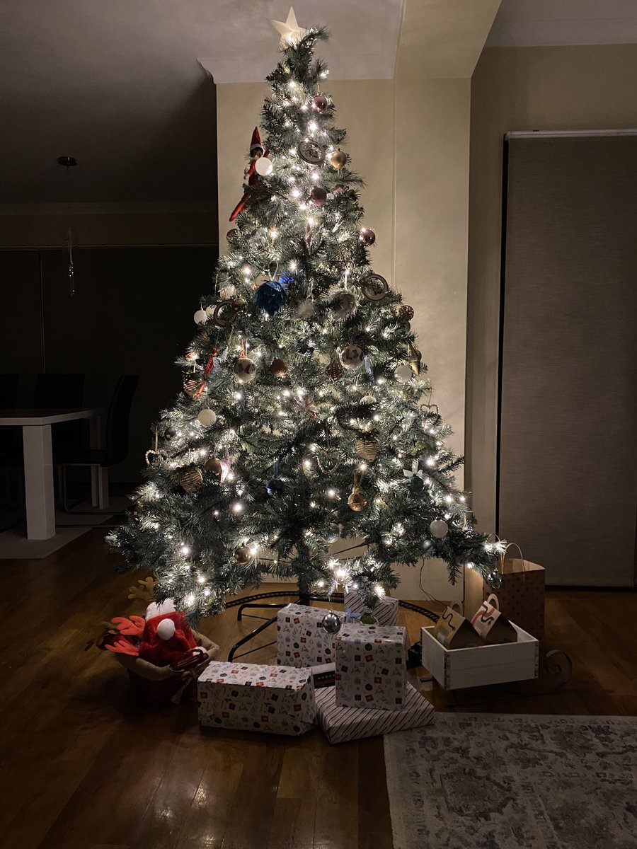 Merry Christmas and happy holidays everyone. I hope you had a good one. ❤️