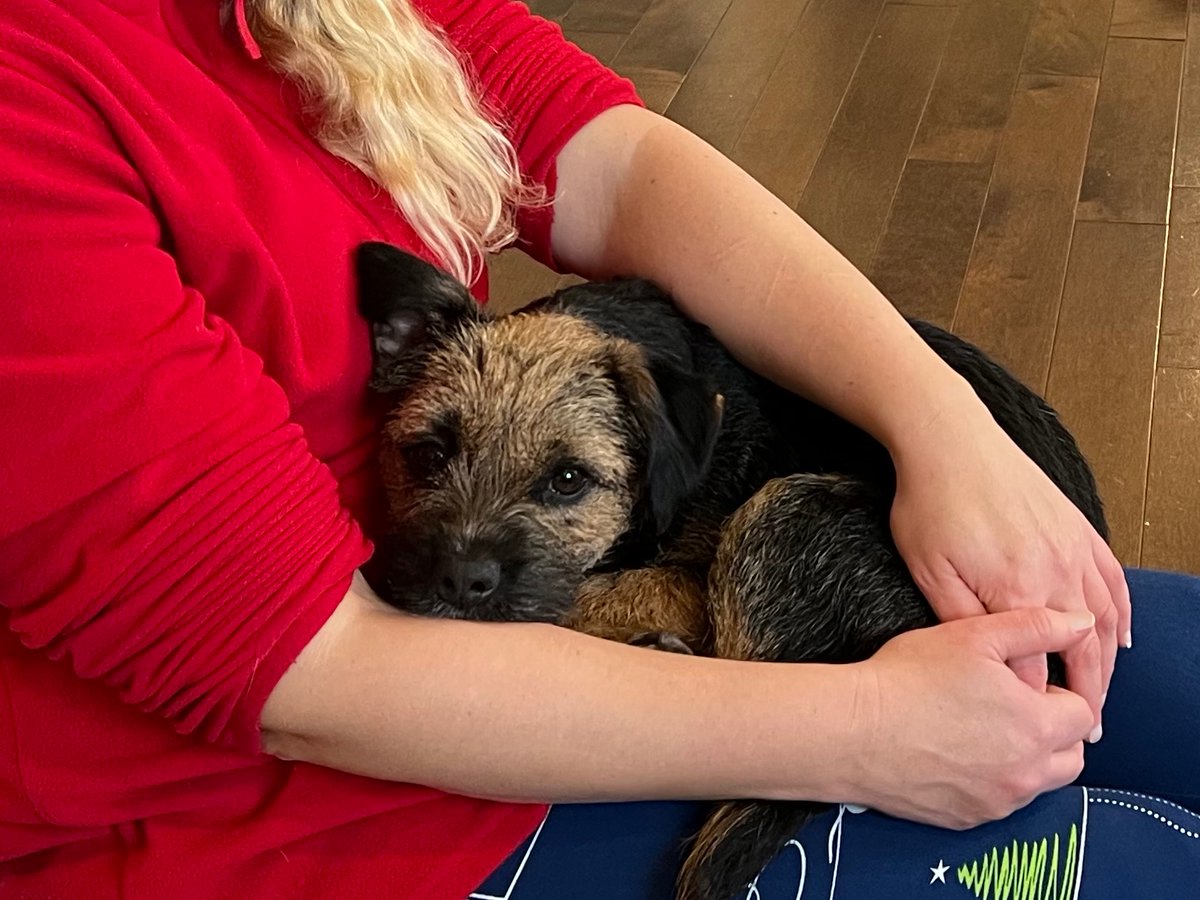 Photo of the week #BTPosse 
And merry Christmas!