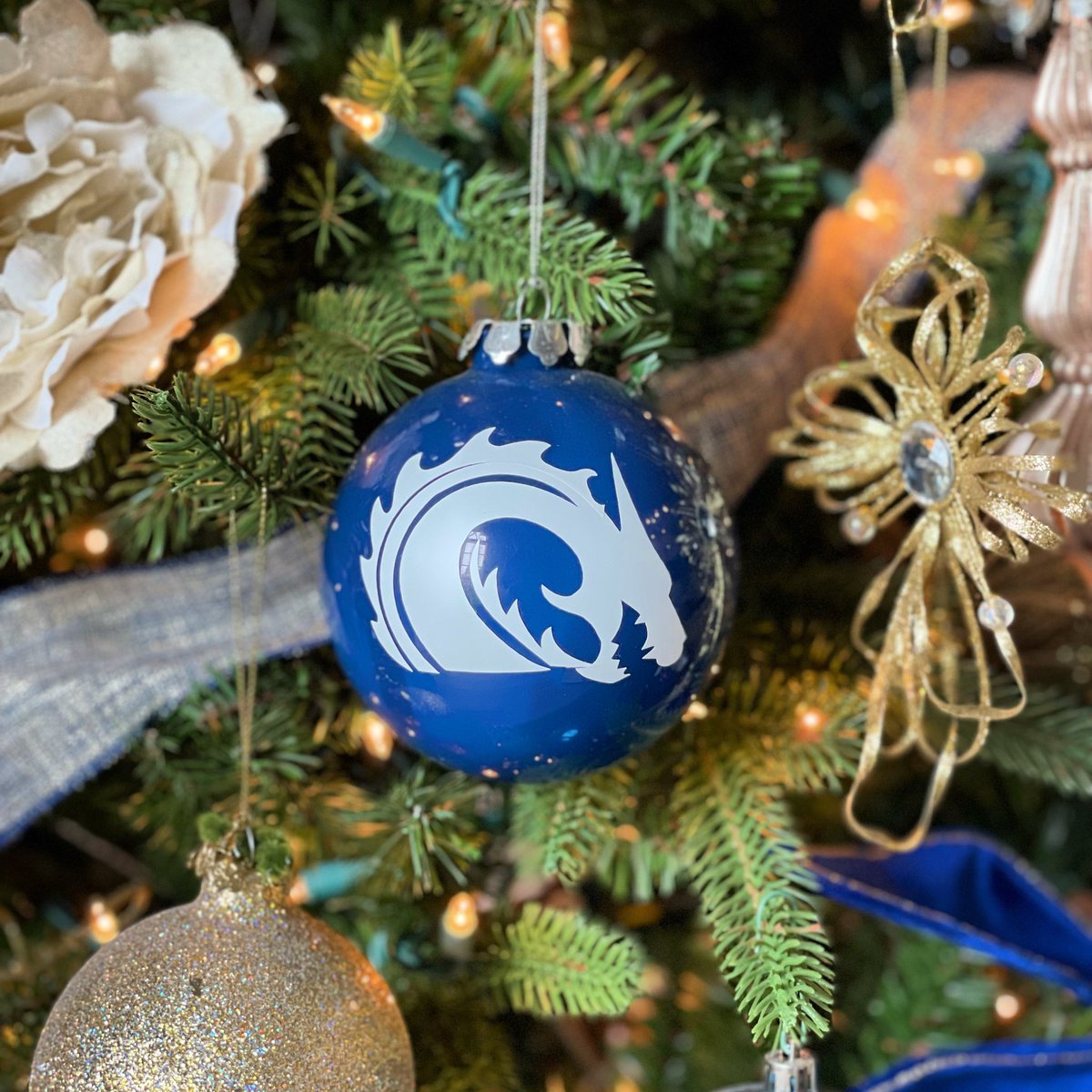 Windermere Laker Aquatics tweet media