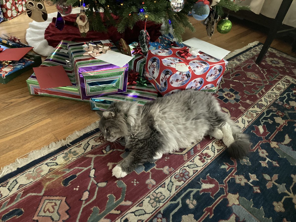 CrashTheFloof's tweet photo. I don’t care what the tag says. All of these gifts are mine.
(Happy holidays everyone)
#CatsOfTwitter #Christmas https://t.co/n4qeSmbtpA