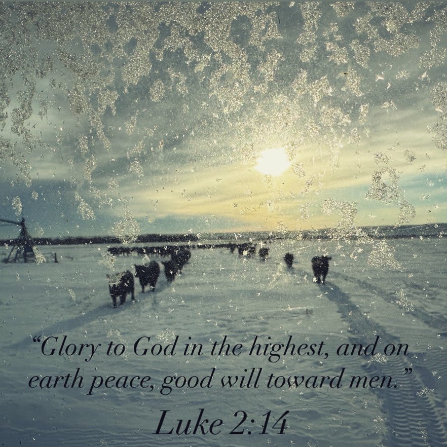 Mona Howe tweet media