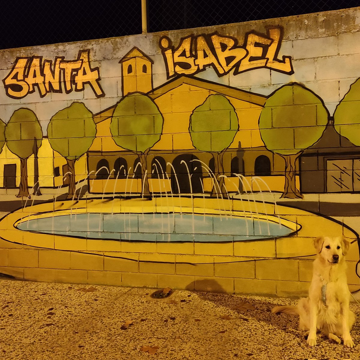 kalamerry_gr's tweet photo. 🐾🐾 1/3 @gilicombo ... 👣 @MariaTorresSanz y 👣 @adriiianahdeez ... En una semanita 2/3... 🦮💪🏼... (¡¡ Que nada pare el @gilicombo !!) https://t.co/t6lYI428Nf