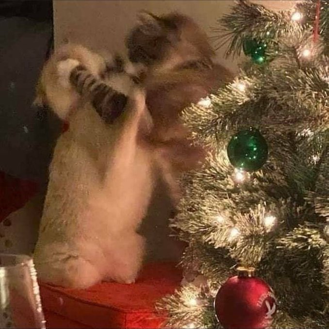 Fk2PeeqXkAUtCNg?format=jpg&name=small