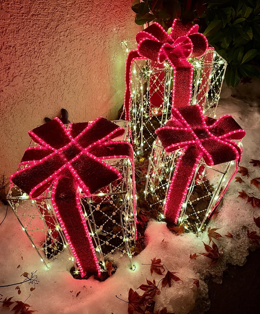 J L Safronick tweet media