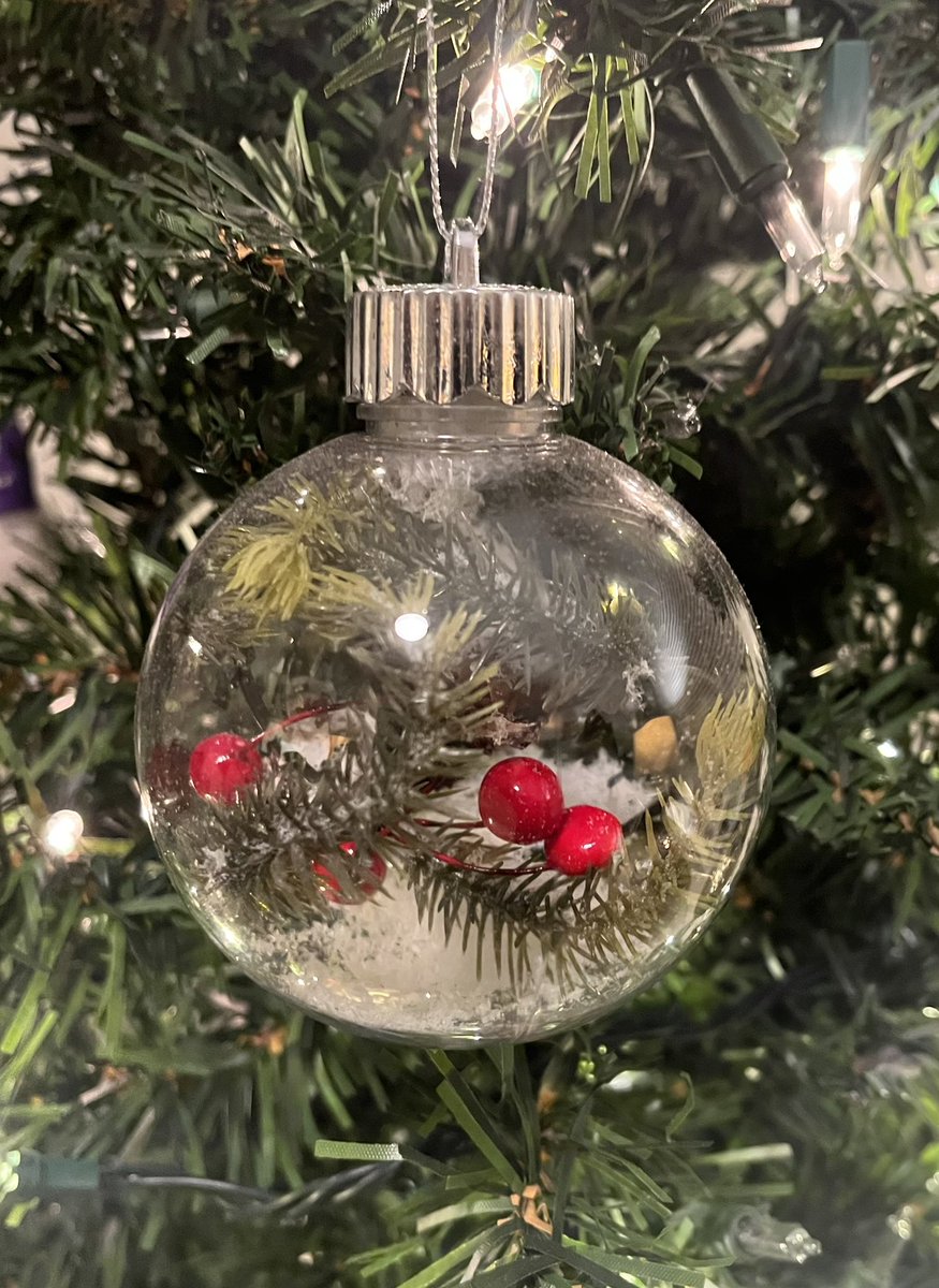 J L Safronick tweet media