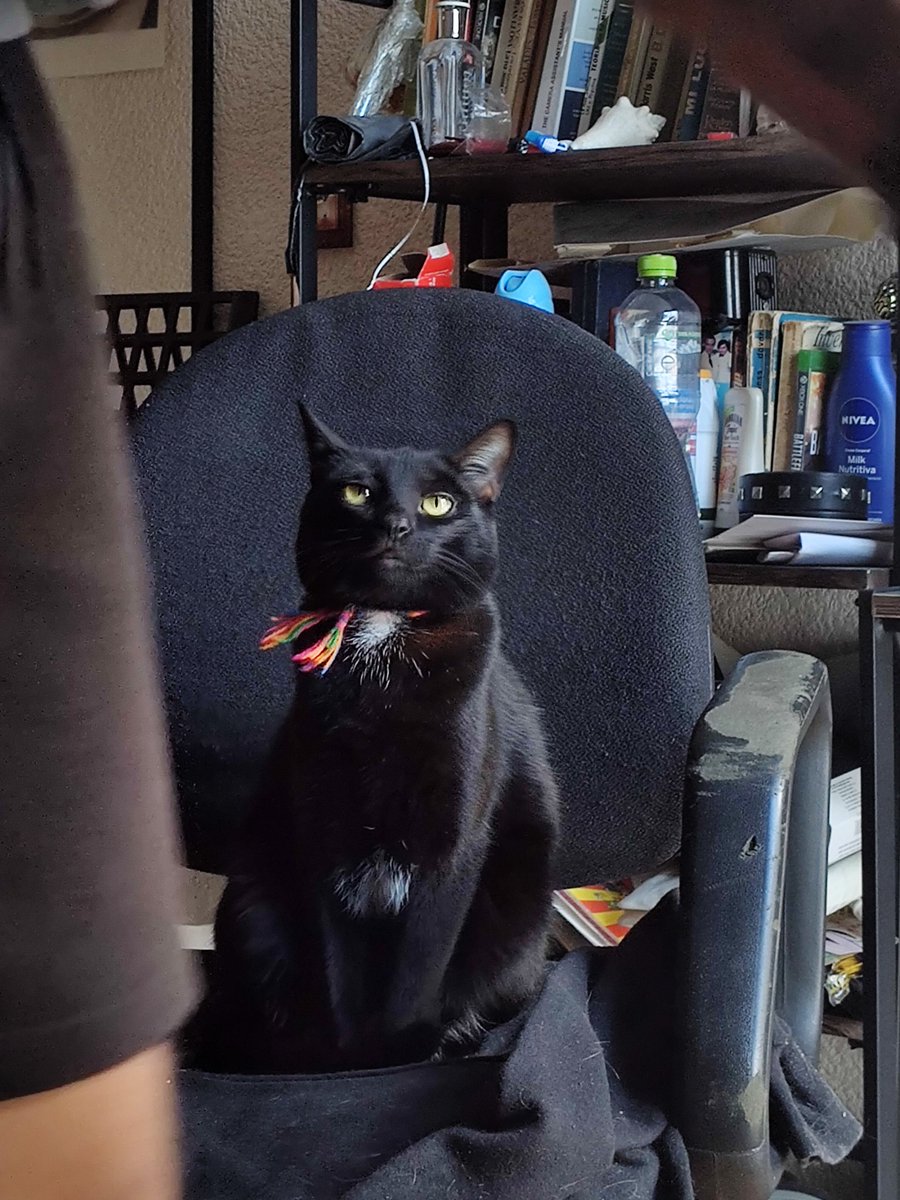 Franci (@franstrano) on Twitter photo 