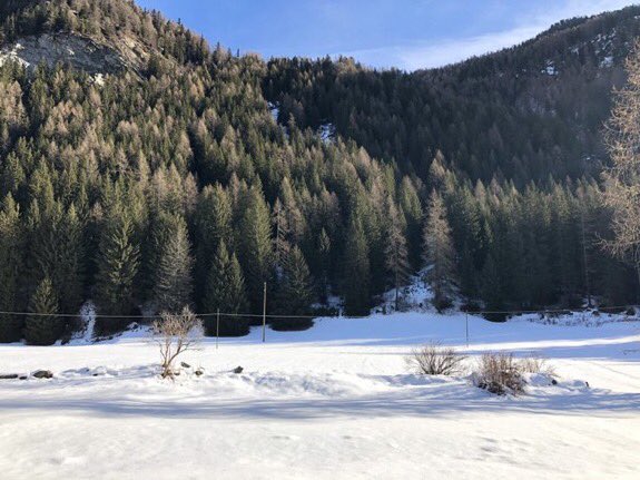 CleliaMussari's tweet photo. #ValdAyas con fontana ghiacciata di #Champoluc
📷@RobertoPorta7 https://t.co/jnKheLlf0s