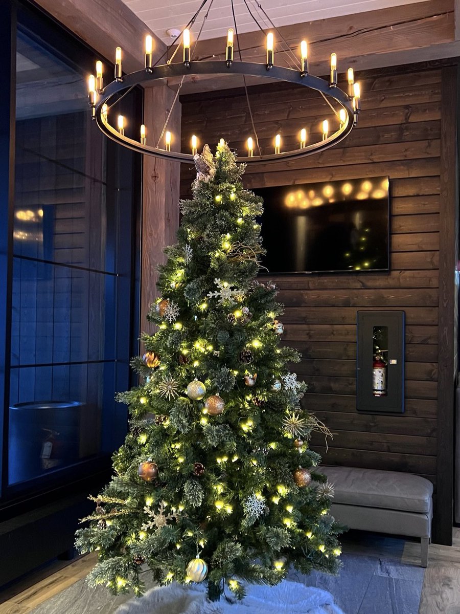 Happy Holidays from all of us at Bearspaw 🎄