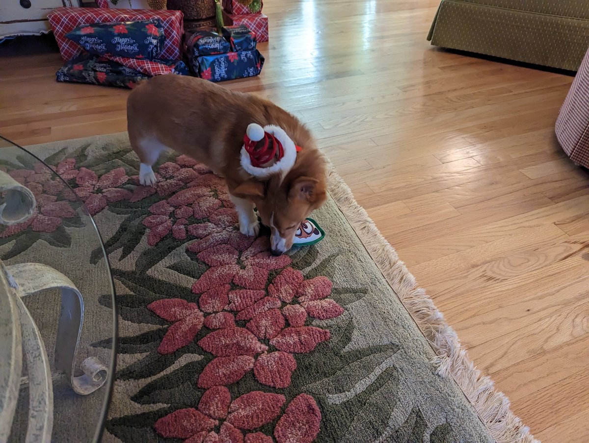 Chris Burson tweet media