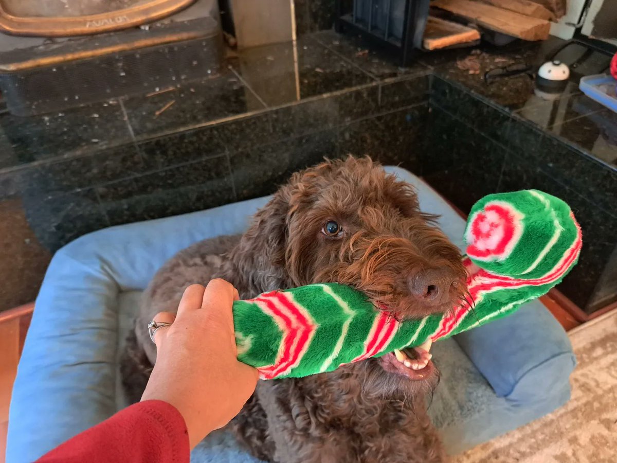 Merry Christmas to all who celebrate! Wishing you peace and love.