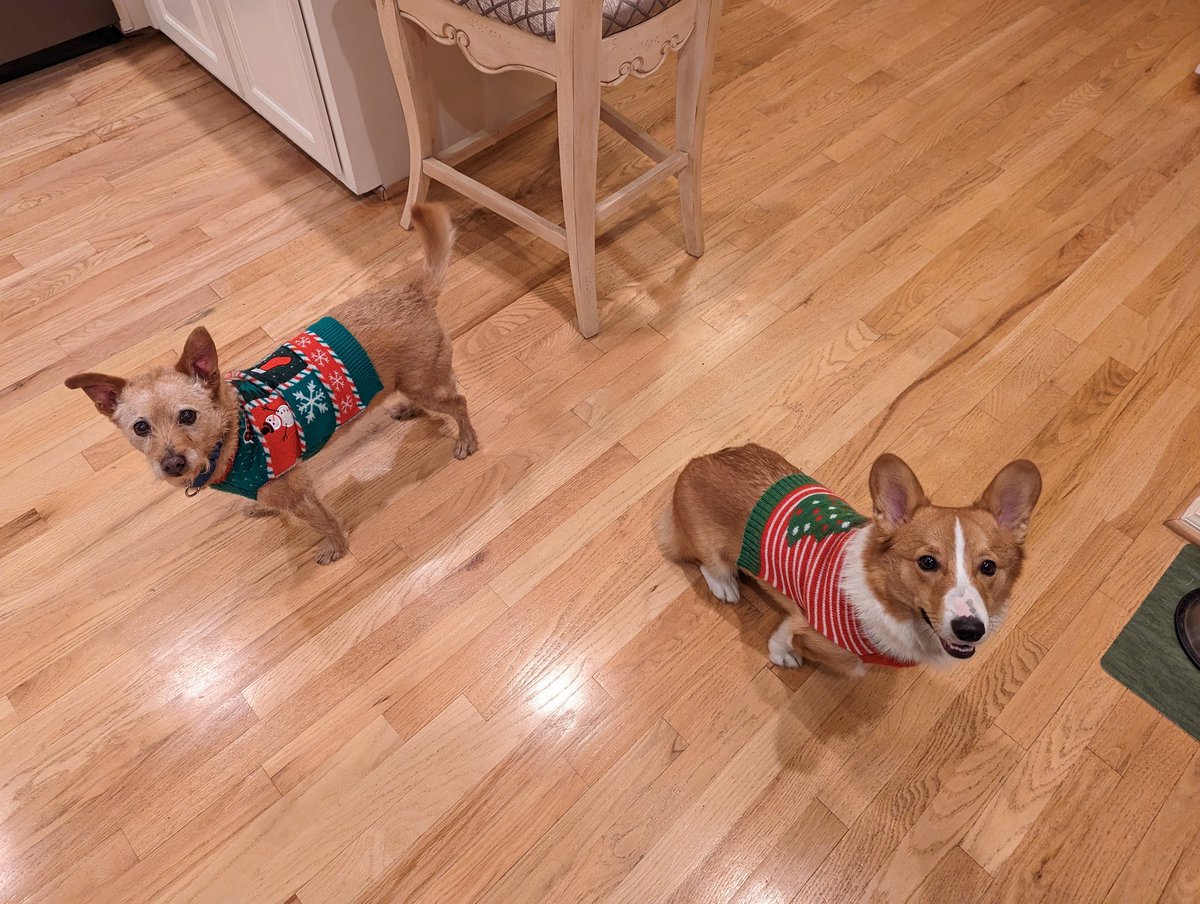 Chris Burson tweet media