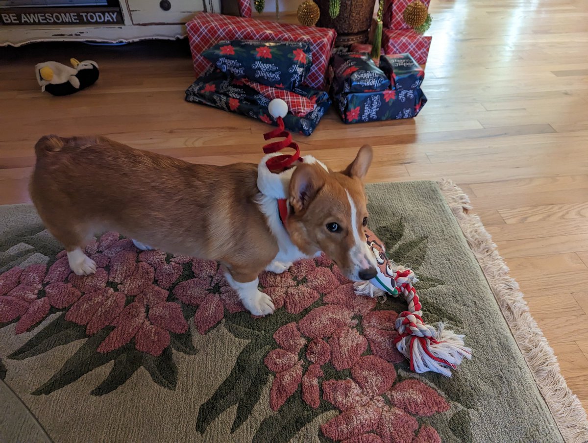 Chris Burson tweet media