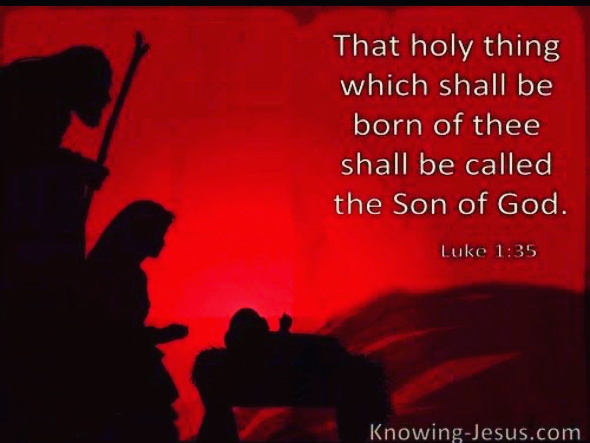 fieldsNovel's tweet image. Merry Christmas