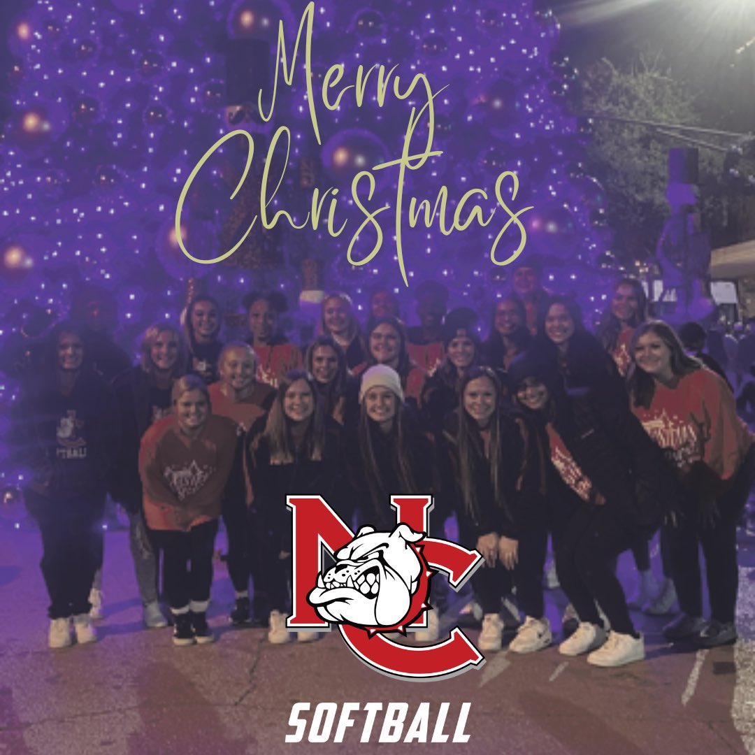 Merry Christmas from the Dawgs🐾🥎#family #dawgs