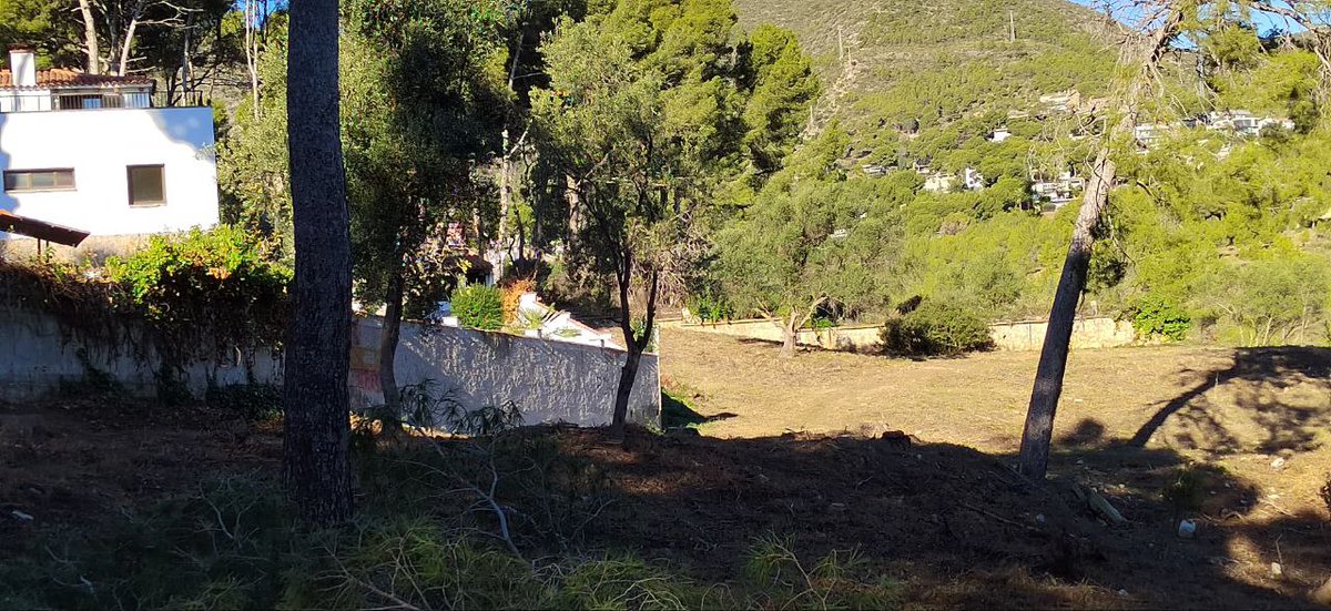 DefensemCastell's tweet photo. A #Castelldefels han arrassat amb tots els arbres en una franja de 100 metres al voltant de l'hotel Rey Don Jaime...una nova ampliació?
No han deixat ni un Margalló

Quin és el propòsit? La conducció del clavegueram? Tallafocs de 100 metres? De debò, Maria "Matapinos" Miranda? https://t.co/IhbGriNyuZ