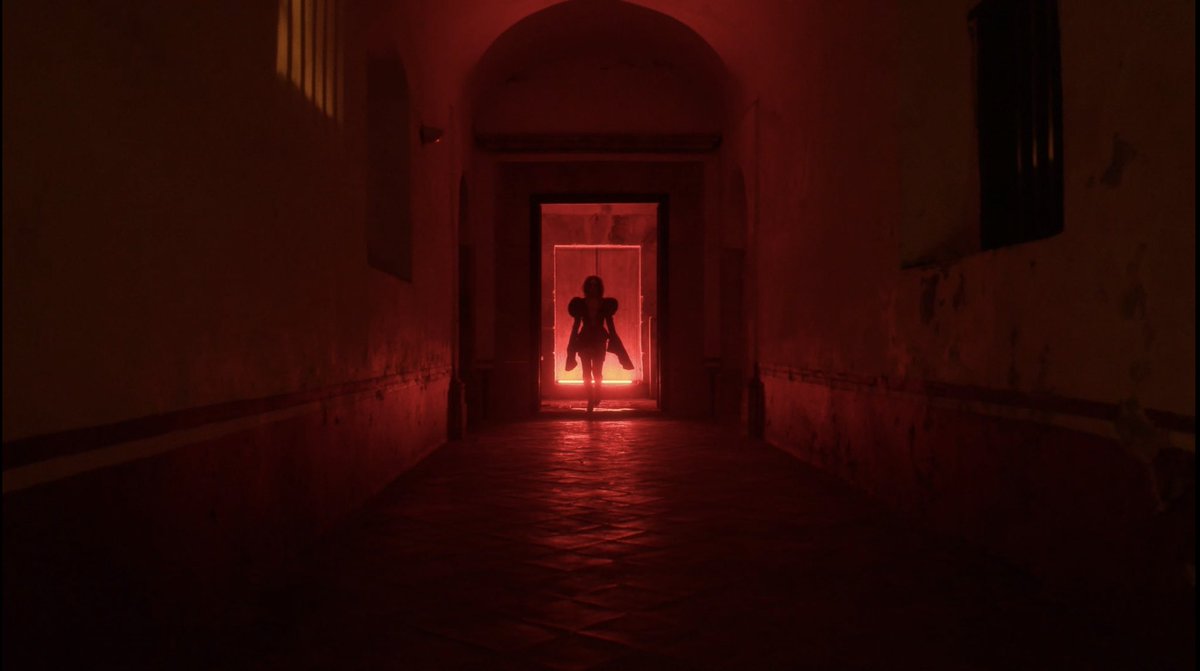 Mauricio Nader tweet media