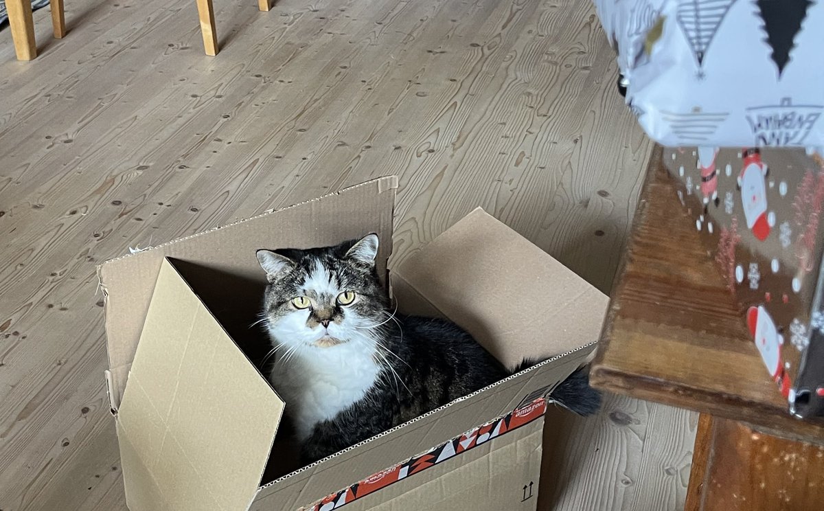 AlEWcat's tweet photo. @elonmusk Best presents ever for cats! 😻 https://t.co/B17XK2jCve