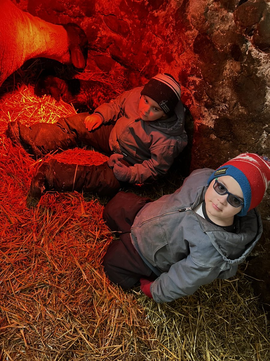 Ashley Dyce tweet media