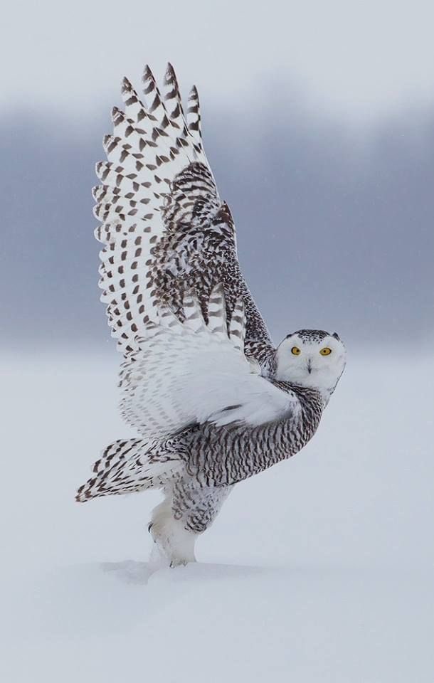 Alessandro ⚓️ NO DM tweet media